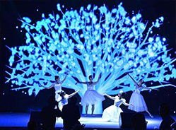 视频互动秀筑梦家园