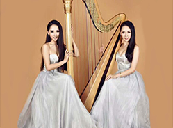 暖场节目竖琴表演