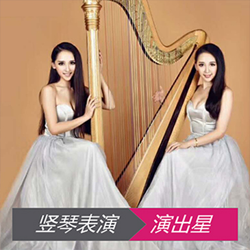 竖琴表演