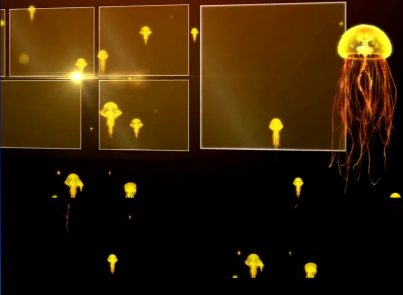 视频互动秀金色梦想